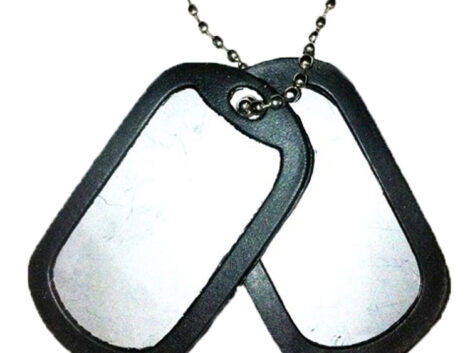 Dog Tags - Silver - complete with silencers